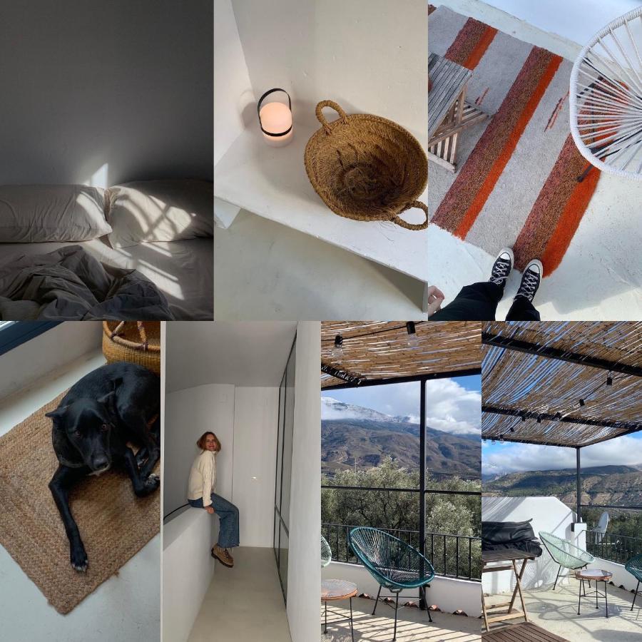 Casa Limon Bed & Breakfast Pinos del Valle Dış mekan fotoğraf